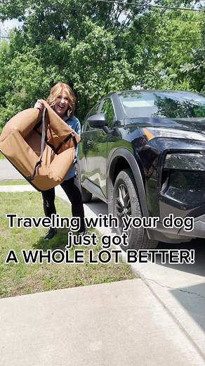 6.2K views · 47 reactions |  Ready for adventure?  It's the FINAL day of our EPIC Summer Road Trip Sale. Pack your bags, turn up the tunes, and hit the road with your furry co-pilot  Shop now: https://bit.ly/roadtripsale | Paw.com | Facebook