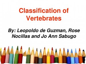 Classification of Vertebrates - SlideServe