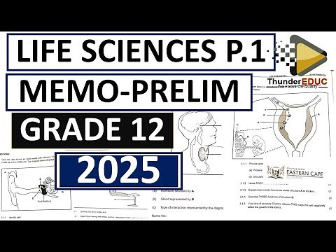 2025 MEMO GRADE 12 LIFE SCIENCES PAPER 1 PRELIM- EXAMS SEPTEMBER EXAM GRADE 12 [THUNDEREDUC] M.SAIDI