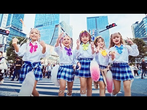 KOGYARU / SHIRANKEDO【Official Music Video】