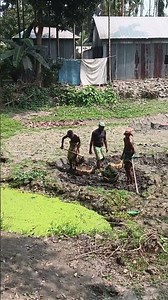 new project M S FM Agro fram April 5, 2026