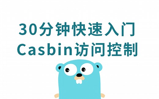 访问控制casbin扫盲教程