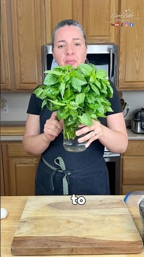 Cómo Hacer Pesto Sauce | Step by Step