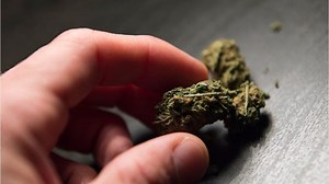 Ventura sets new application timeline for cannabis business permits