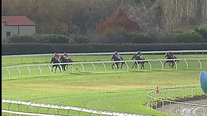 177K views · 2.5K reactions | A seriously sensational save   Sky Sport NZ | Racing.com | Facebook