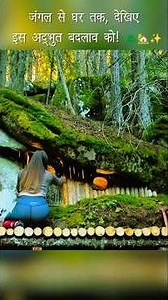 Lost in the Wild to Building a Dream Home—In Just 48 Hours!#shorts#SurvivalBuild