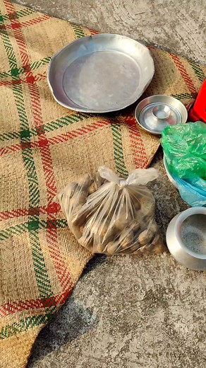 #dailyvlog #tiktokvlog #fypシ゚viral #fyp #foryoupage #foryou #villagetiktok #villagevlog #kolkatavlog #bdtiktokofficial🇧🇩 #bdtiktoker #capcut