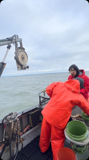 554 reactions · 18 shares | Recreational crabbing #westportwa #experiencewestport #graysharborliving #crabbing #crab #justforfun #crabboat #crabber | Jodee Orton | Facebook