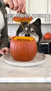 128K views · 2.4K reactions | Homemade Pumpkin Popsicles For Dogs! | My Mountain Husky | Facebook