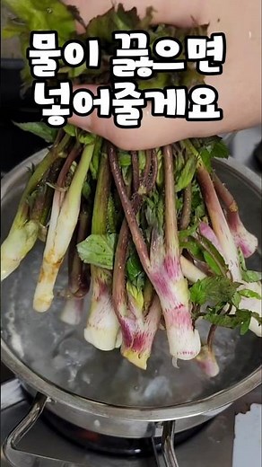 안먹어보면 후회하는 땅두릅 ~ #땅두릅먹는방법 #두릅초장 #두릅데치는방법