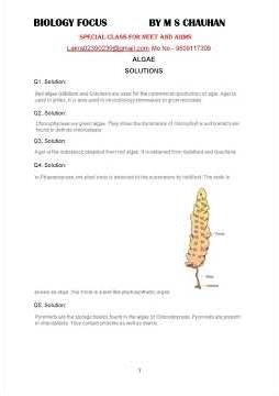 Plant kingdom solved mcqs; bryophytes & pteridophytes; gymnosperms & angiosperms; plant life cycle;