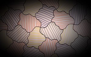 Les flocons de neige