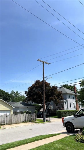 #perrocaloron🐶☀️