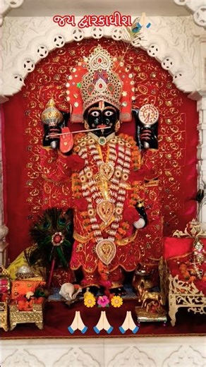 #રાજા રણછોડ નાં દર્શન #મારાં વિચાર #🙏🏻🙏🏻