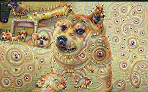 WATCH: More DeepDream obsessions