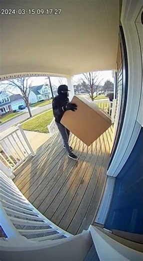Doorcam: Package Thief Gets Obliterated By Surprise Glitter Bomb Trap 🎆💣🎉 #GlitterBomb
