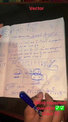 Top Tips for Class 10 Vector Studies