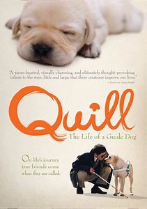 Quill: The Life of A Guide Dog