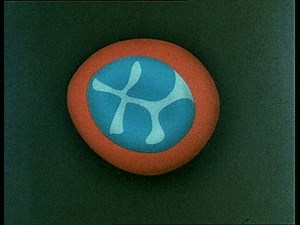 Development and deformability of red blood cells