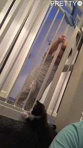 "Finally found out how my kid keeps getting through the baby gates" 😂😂 | Tyla