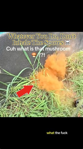 Whatever You Do, Don’t Inhale The Spores ☠️ #interesting
