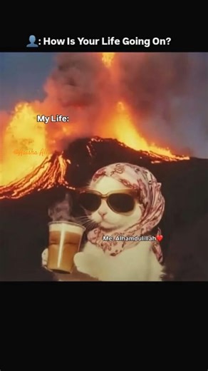 Muslim memes 😅😅😅 Muslim must watch 🤣🤣 @Aaisha_Ali