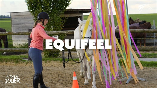 Discipline ludique, ouverte à tous et où la complicité avec son cheval ou poney est primordiale, aujourd’hui on vous présente l’equifeel ! 😄🎉 Le trèfle, les embûches, l’essuie-glace ou encore le carré… ça vous dit quelque chose ? Mégane et ses cavaliers du Domaine Équestre de la Haute Maison vous font découvrir leur discipline. Que ce soit pour le loisir ou en mode compétition, c’est la discipline idéale pour sortir de la routine et voir son poney/cheval sous un autre angle ! 🐴 Et vous, prêt(