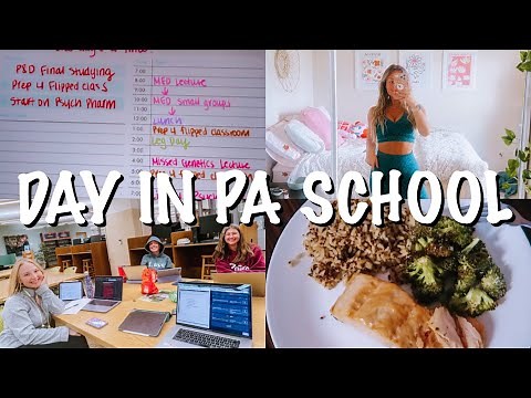 A DAY IN THE LIFE AS A PA SCHOOL STUDENT | at michigan state university