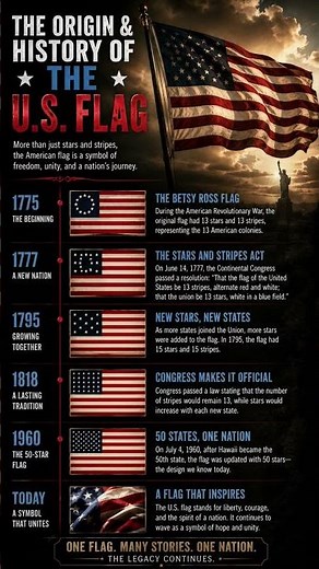 Origin of The American flag #usa #america