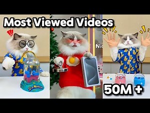 Puff's Greatest Hits: Our Most Loved Videos Compilation! 🌟