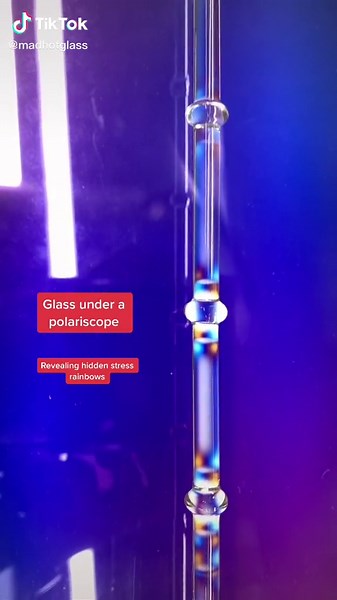 Madeline Rile Smith on TikTok