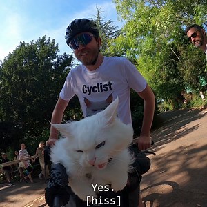 626K views · 10K reactions | Catch us hissing around Coventry for the next few days.  . . . Hiss compilation 13! #gatos #michis #kissa #pishi #pusa #kot #kit #chat #kedi #katze #gatto #katt #貓 #ネコ #고양이 #kucing #kotek #cats #cat #catlife #pets #catoftheday #sigrid #london #bike #cyclingphotos #bikelife #fixedgear #trackbikes | Travis and Sigrid | Facebook