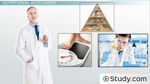 Assessing Your Nutrition, Diet & Health: How to Avoid Disease - Video | Study.com