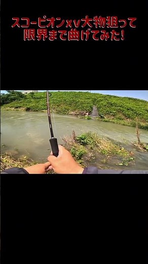 破断覚悟！スコーピオンxvのパワーを試してみる#fishing