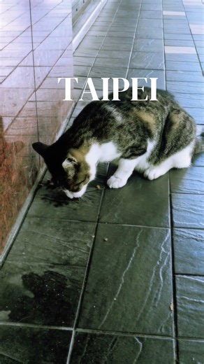 #taipei image