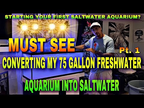 CONVERTING my 75 gallon FRESHWATER AQUARIUM into SALTWATER **MUST SEE**