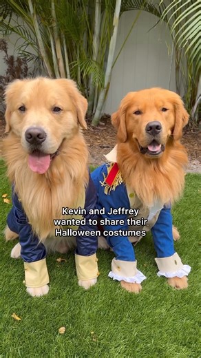 Taking "my dog speaks more eloquently than thee" to the next level. #Hamilpets | Hamilton