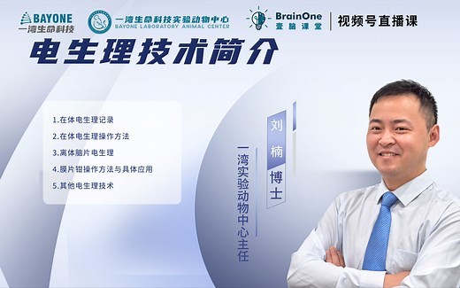 壹脑课堂丨2. 在体电生理操作方法