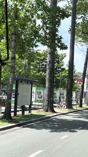 Exploring Busy Streets of Saigon: Vehicles in Motion