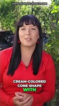 Grow Chicory Like a Pro: Radicchio & Endive Secrets REVEALED!