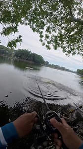 Top Water Explosion.. #fishing #fishinglife #fishingtrip #mancing #tomanfishing #giantsnakehead #fypシ゚ | Ghastroke Ad Ventures