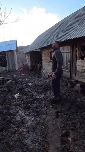 903K views · 16K reactions | Universule, ai glume în program?  @hovreaalin #romania | Haidainlume | Facebook