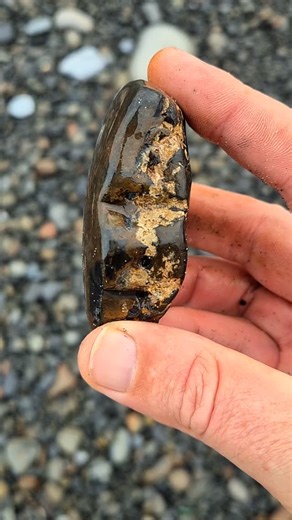 A Septarian nodule. Fossilized organic material that settled on the river delta floor that covered this area over 300 million years ago. County Clare, Ireland. Cormacscoast.com walking tours | Cormac's Coast