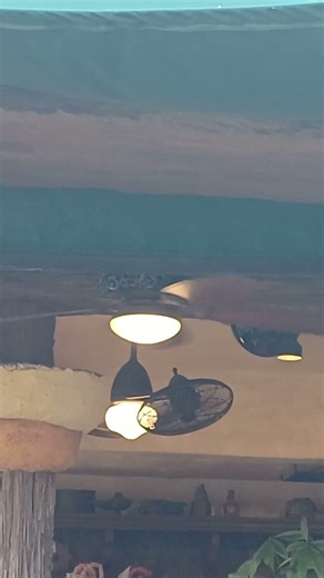 Hampton Bay Veranda Ceiling fans in Universal