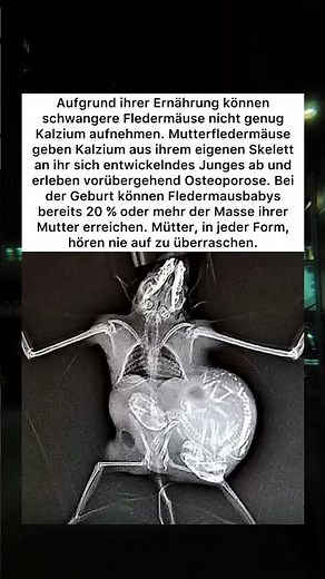 Die unglaubliche Kraft der Mutter 🖤 #Natur #Mutter