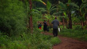 6.9K views · 186 reactions | Village life in Mubende, UGANDA | The African Village | Facebook