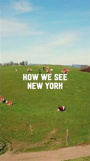 Did you know this about New York?