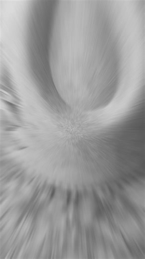 Custom hat #sealavie #richmond #pyrography #sunflower #artist #fashion #handmade #shoplocal #supportsmallbusiness #beachvibes #fyp #foryoupage #foryou #viral #foryoupage #viralvideo #customhat