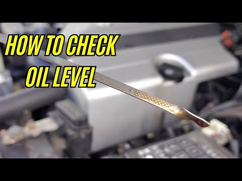 How To Properly Check Your Oil Level