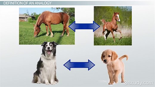 You must c C reate an account to continue watching